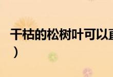 干枯的松樹葉可以直接種花嗎（gkd是啥意思）