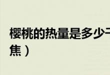 櫻桃的熱量是多少千卡（櫻桃的熱量是多少千焦）
