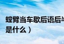 螳臂當(dāng)車歇后語(yǔ)后半部分（螳臂當(dāng)車的歇后語(yǔ)是什么）