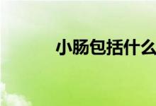 小腸包括什么（小腸包括什么）