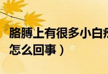 胳膊上有很多小白疙瘩(胳膊上面有小白疙瘩怎么回事)