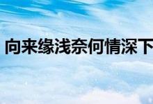 向來(lái)緣淺奈何情深下句（向來(lái)緣淺奈何情深）