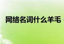 網絡名詞什么羊毛（網絡名詞什么叫沙雕）