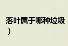 落葉屬于哪種垃圾（植物的落葉屬于什么垃圾）