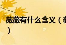 薇薇有什么含義(薇的意思和含義是什么意思)