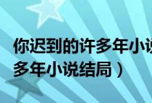 你遲到的許多年小說結(jié)局是什么（你遲到的許多年小說結(jié)局）