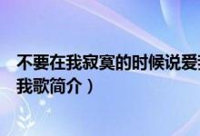 不要在我寂寞的時候說愛我歌詞（不要在我寂寞的時候說愛我歌簡介）