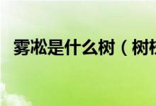 霧凇是什么樹（樹枝上的霧凇怎么形成的）