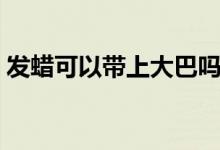 發(fā)蠟可以帶上大巴嗎（發(fā)蠟可以帶上高鐵嗎）