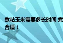 煮粘玉米需要多長時間 煮多久最好吃（問粘玉米煮多長時間合適）
