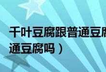 千葉豆腐跟普通豆腐有啥區(qū)別（千葉豆腐是普通豆腐嗎）