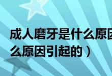 成人磨牙是什么原因怎么治療（成人磨牙是什么原因引起的）