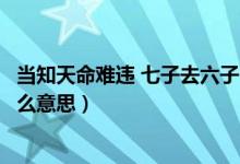 當(dāng)知天命難違 七子去六子回是什么意思(七子去六子回是什么意思)