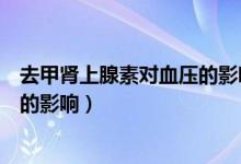 去甲腎上腺素對(duì)血壓的影響及其機(jī)制（去甲腎上腺素對(duì)血壓的影響）