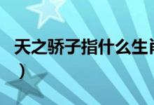 天之驕子指什么生肖（天之驕子開過什么生肖）
