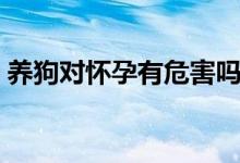 養(yǎng)狗對(duì)懷孕有危害嗎（養(yǎng)狗對(duì)懷孕有影響嗎）