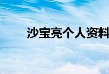 沙寶亮個(gè)人資料（關(guān)于沙寶亮簡介）