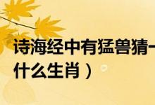 詩海經(jīng)中有猛獸猜一生肖（詩海經(jīng)中的猛獸是什么生肖）