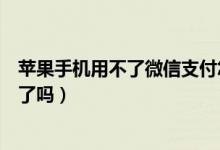 蘋果手機(jī)用不了微信支付怎么辦（蘋果手機(jī)用不了微信支付了嗎）