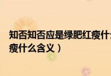 知否知否應是綠肥紅瘦什么時候出的（知否知否應是綠肥紅瘦什么含義）