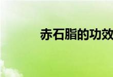 赤石脂的功效（赤石脂的作用）