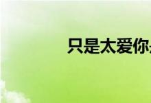 只是太愛你是什么風(fēng)格的歌