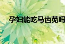 孕婦能吃馬齒莧嗎（孕婦能吃馬齒莧嗎）