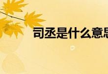 司丞是什么意思（司丞是幾品官）