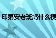 印第安老斑鳩什么梗（印第安老斑鳩什么梗）