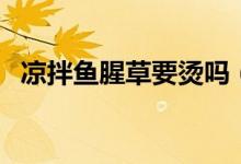 涼拌魚腥草要燙嗎（涼拌魚腥草要焯水嗎）