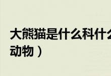 大熊貓是什么科什么屬的（大熊貓是什么科的動物）