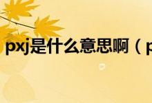 pxj是什么意思?。╬xj是什么意思嗶哩嗶哩）