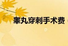 睪丸穿刺手術(shù)費(fèi)（睪丸穿刺多少費(fèi)用）