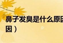 鼻子發(fā)臭是什么原因造成（鼻子發(fā)臭是什么原因）