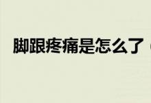 腳跟疼痛是怎么了（腳跟疼痛是怎么回事）