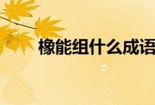 橡能組什么成語（橡能組什么詞語）
