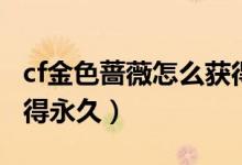 cf金色薔薇怎么獲得永久（cf金色薔薇怎么獲得永久）