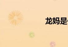 龍媽是什么電視劇
