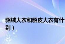 貂絨大衣和貂皮大衣有什么區(qū)別（貂絨大衣和貂皮大衣的區(qū)別）