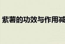 紫薯的功效與作用減肥（紫薯的功效是什么）