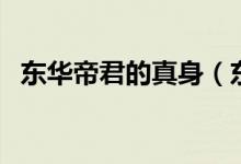 東華帝君的真身（東華帝君的真身是什么）