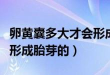 卵黃囊多大才會(huì)形成胎芽的（卵黃囊多大才會(huì)形成胎芽的）