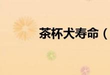 茶杯犬壽命（茶杯犬壽命介紹）