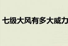 七級(jí)大風(fēng)有多大威力（七級(jí)大風(fēng)有多大威力）