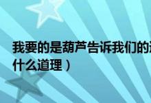 我要的是葫蘆告訴我們的道理是（我要的是葫蘆告訴了我們什么道理）