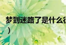 夢到迷路了是什么征兆（夢到迷路了暗示什么）