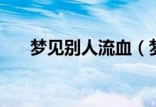 夢(mèng)見別人流血（夢(mèng)見別人流血的意思）