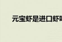 元寶蝦是進(jìn)口蝦嗎（元寶蝦是什么蝦）