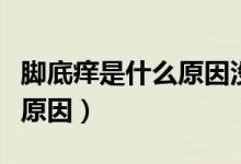 腳底癢是什么原因沒水泡沒紅（腳底癢是什么原因）