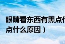 眼睛看東西有黑點(diǎn)什么原因（眼睛看東西有黑點(diǎn)什么原因）